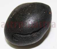 Shaligram 10731 65gm